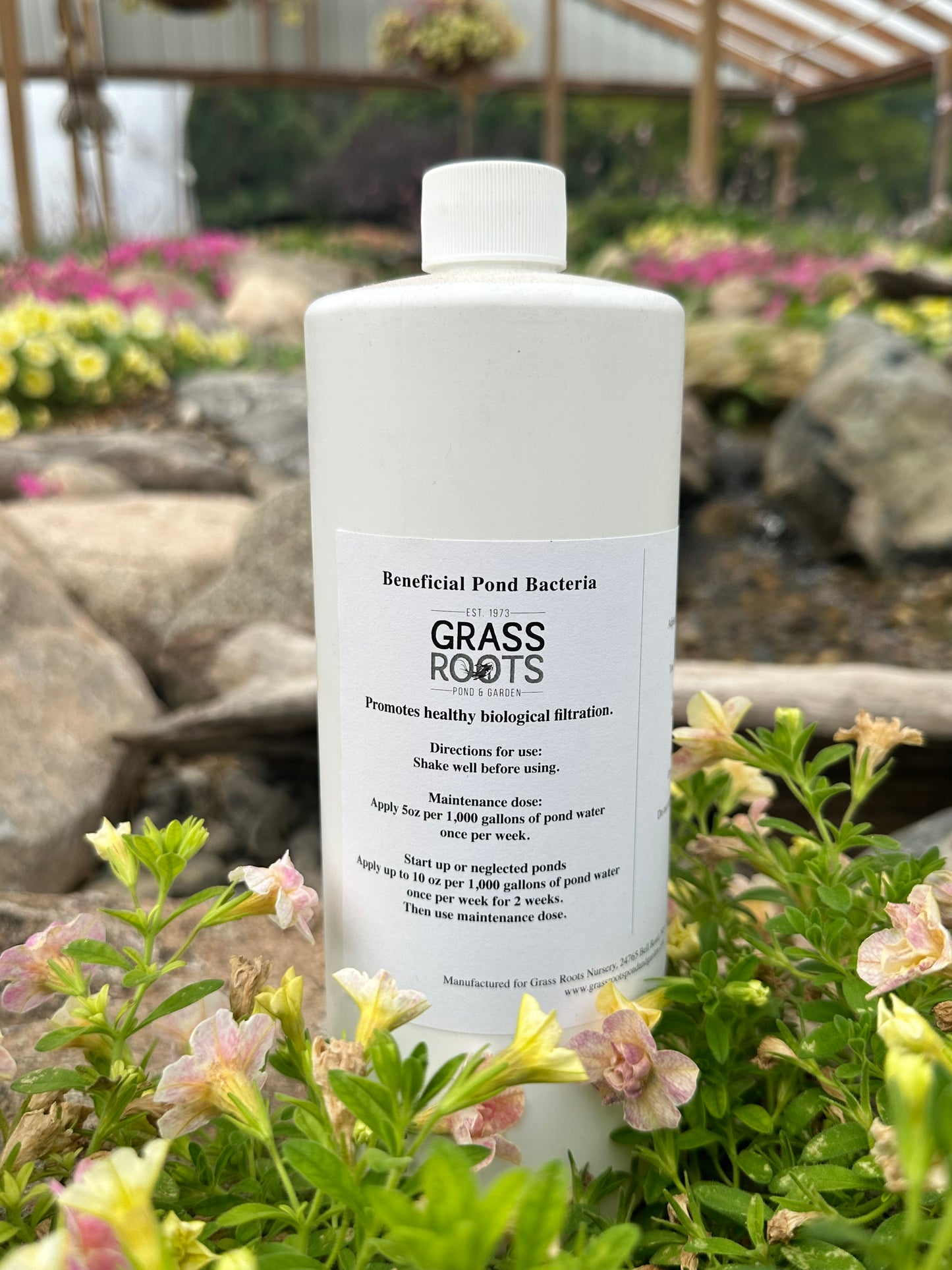 Beneficial Pond Bacteria - 32oz
