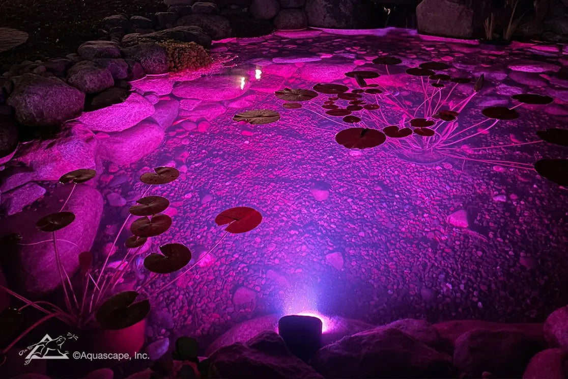 COLOR-CHANGING WIDE-ANGLE LIGHT 11-WATT