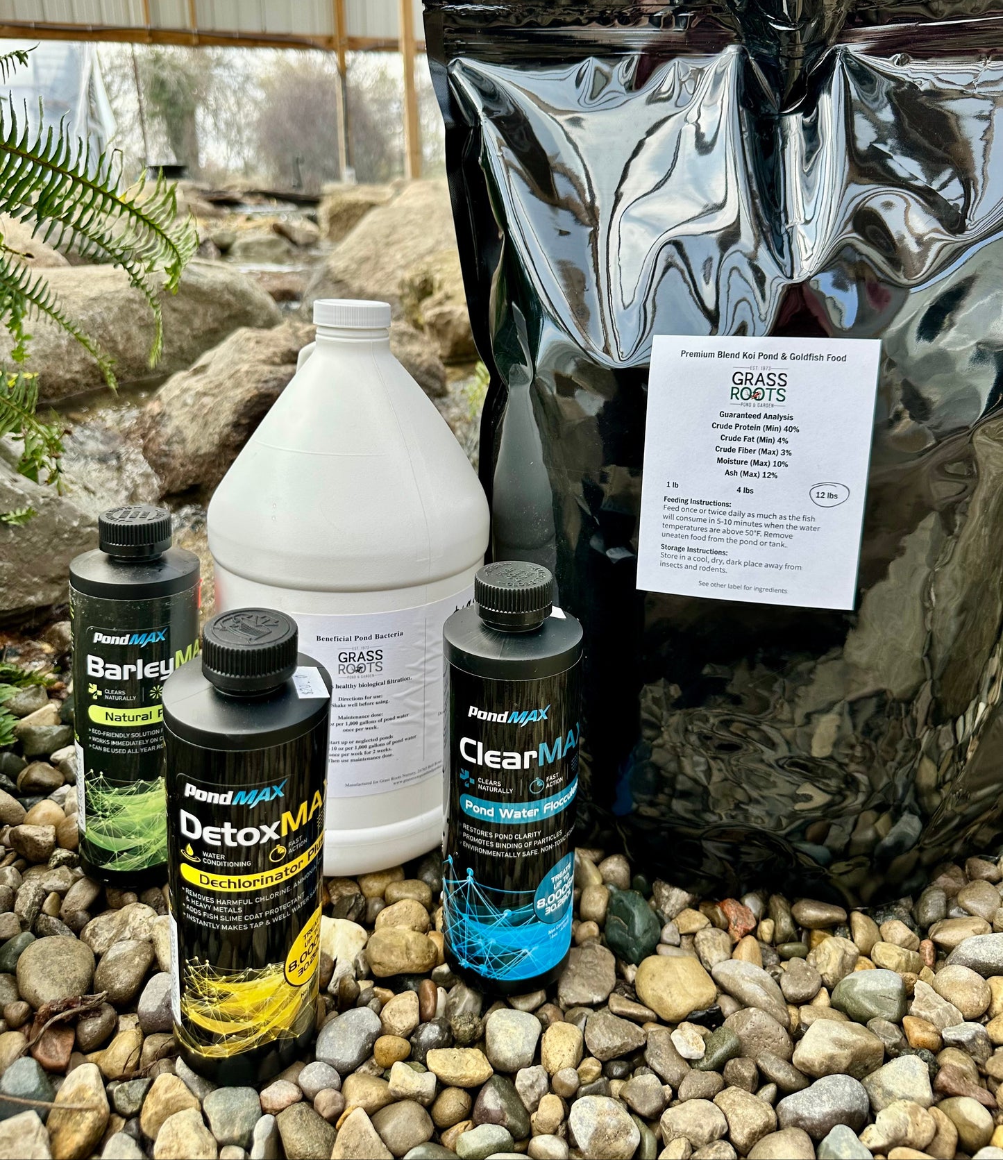 Large Pond Starter Kit