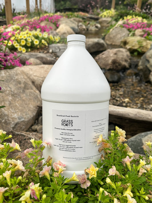 Beneficial Pond Bacteria - 1 GAL
