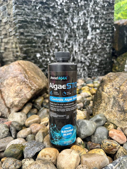 AlgaeStop