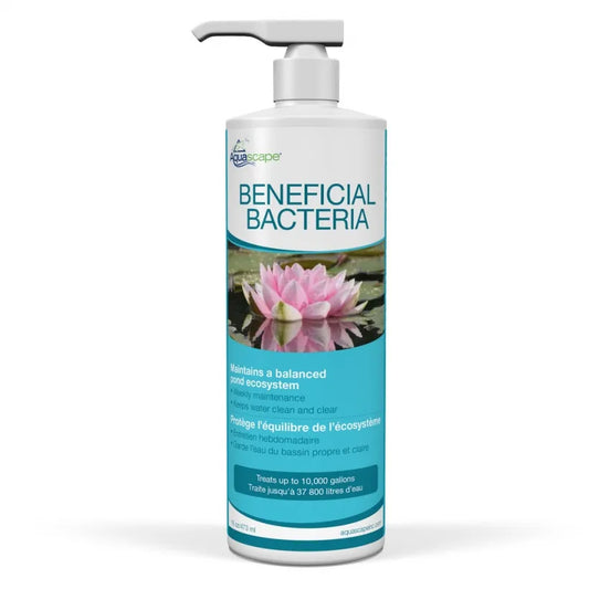 BENEFICIAL BACTERIA - 16 OZ / 473 ML