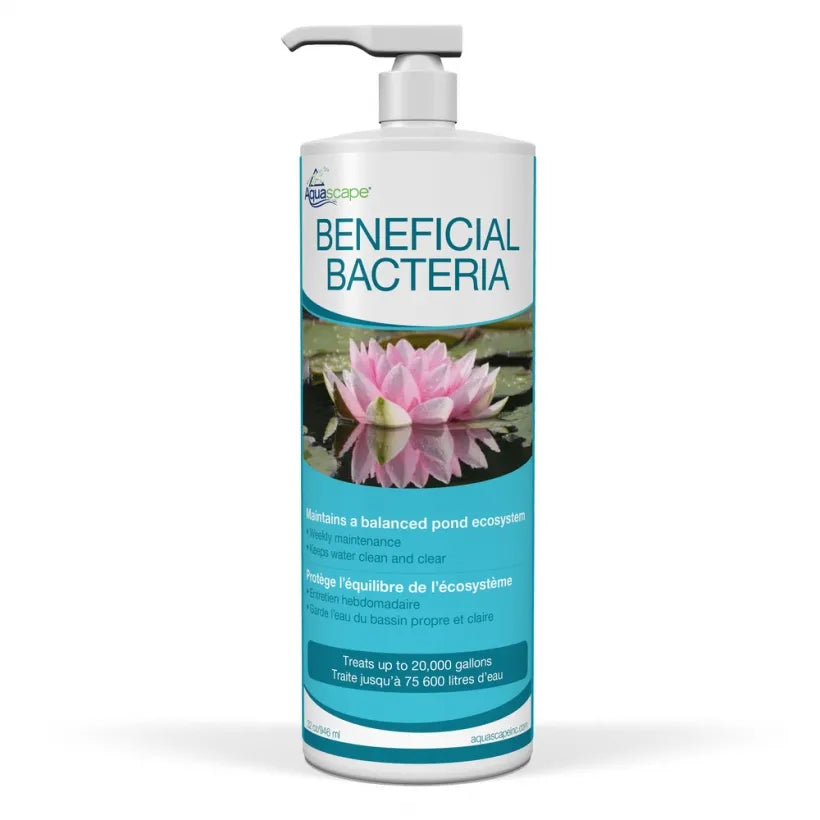 BENEFICIAL BACTERIA - 32 OZ / 946 ML
