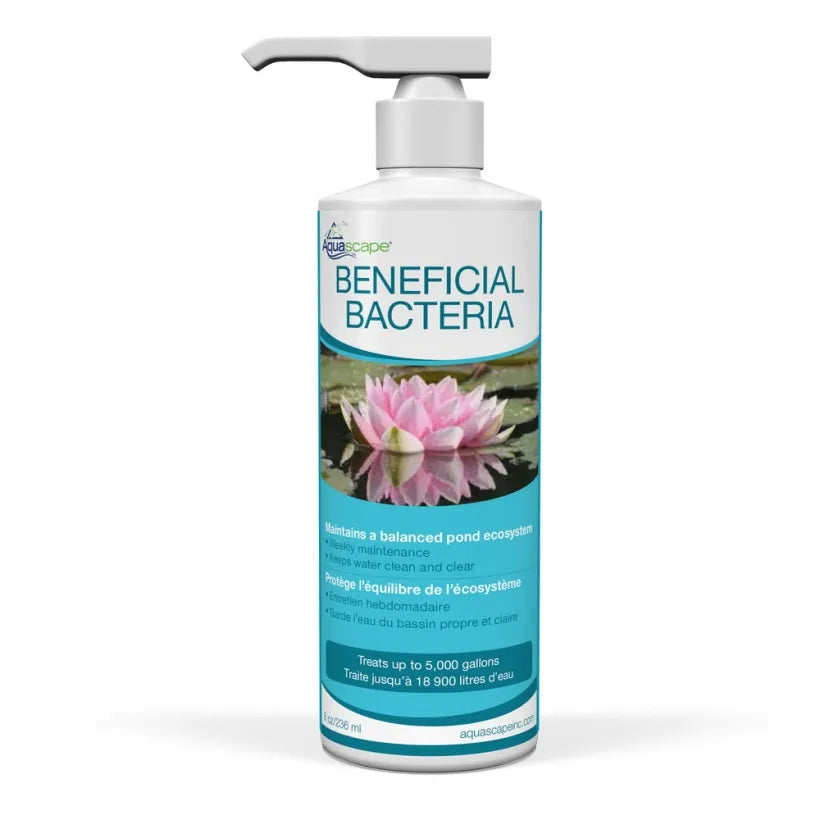 BENEFICIAL BACTERIA - 8 OZ / 236 ML
