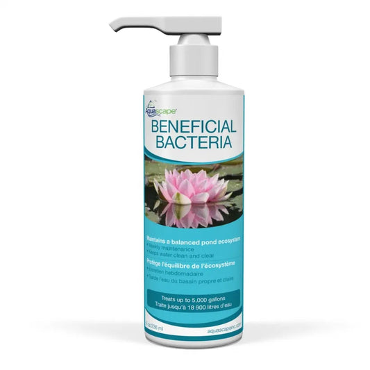 BENEFICIAL BACTERIA - 8 OZ / 236 ML