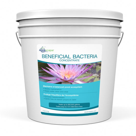 BENEFICIAL BACTERIA CONCENTRATE - 7 LB / 3.2 KG